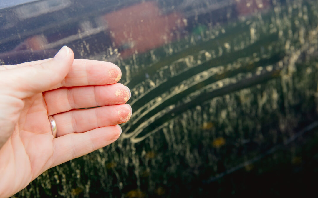The Best Tips and Tricks to Remove Pollen From Your Car